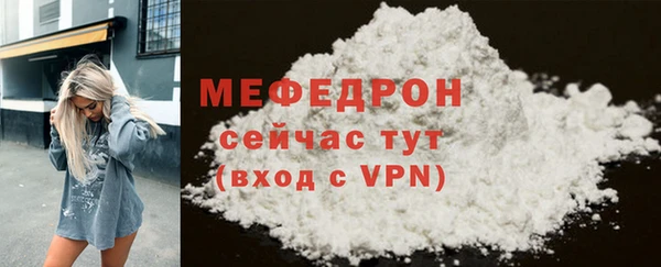 индика Богородицк