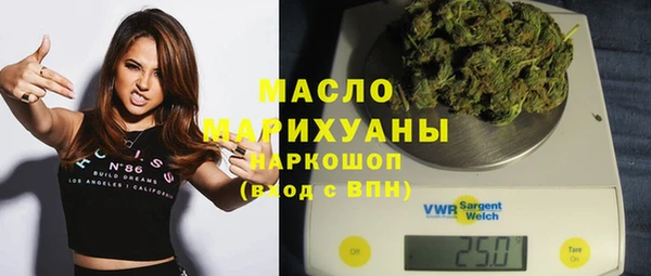 индика Богородицк