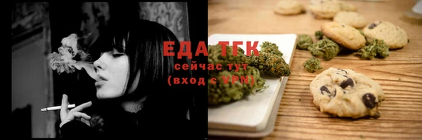 индика Богородицк