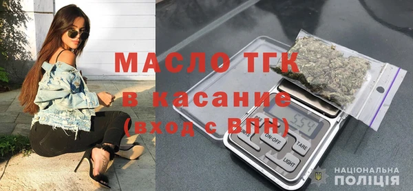 индика Богородицк