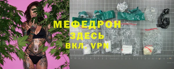 индика Богородицк