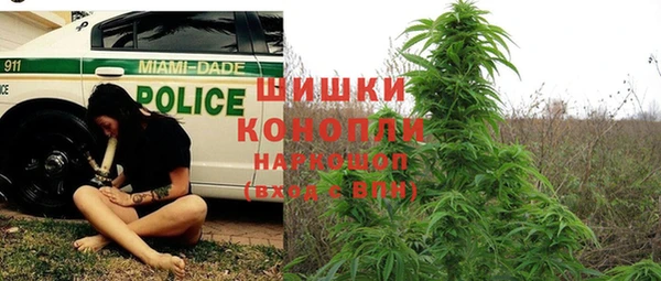 гашик Богданович