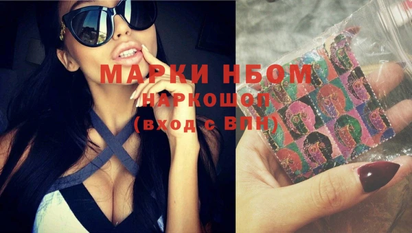 индика Богородицк