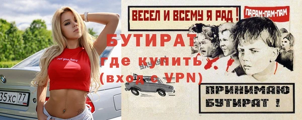 индика Богородицк