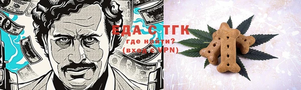 гашик Богданович