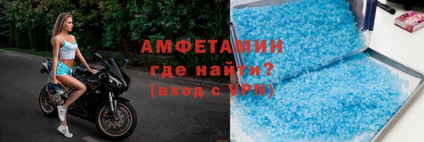 индика Богородицк