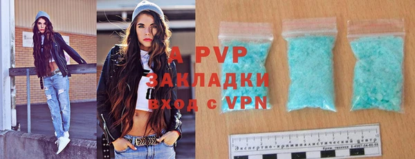 индика Богородицк