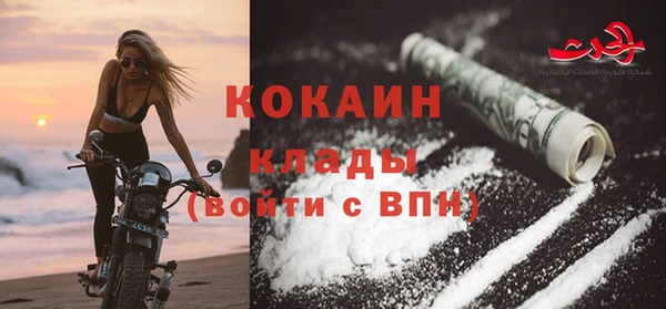 индика Богородицк