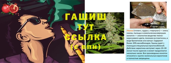 гашик Богданович