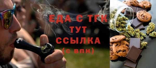 индика Богородицк