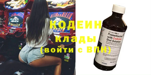 индика Богородицк