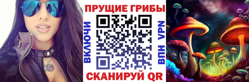 KRAKEN онион Дмитровск Галлюциногенные грибы Psilocybe наркошоп